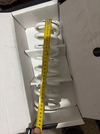 Amortiguador WP y muelles delanteros