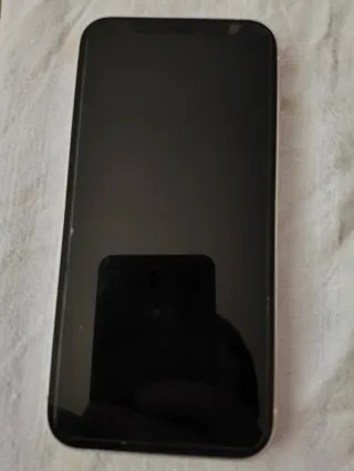 iPhone 12 Argento e bianco