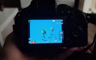 Cámara Panasonic Lumix DC Vario 60x Zoom FZ82D