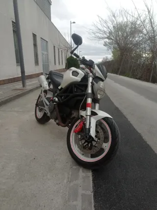 Ducati Monster 696 Blanca