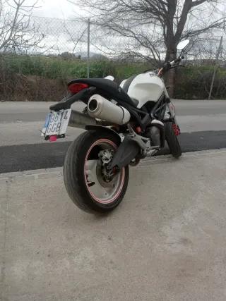 Ducati Monster 696 Blanca