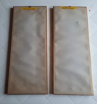 Coppia quadri mezzo punto fiori