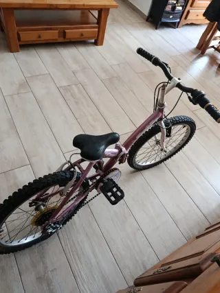 Bicicleta rosa plegable