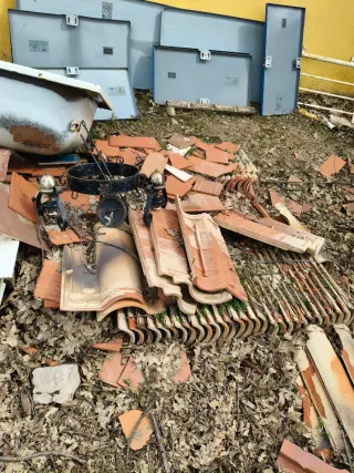 Ladrillos y tejas - Se regalan