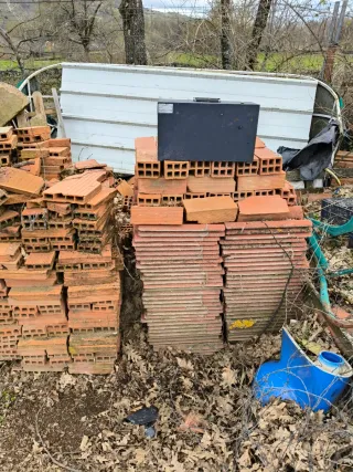 Ladrillos y tejas - Se regalan