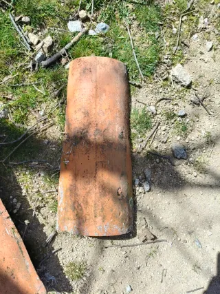 Ladrillos y tejas - Se regalan