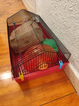 Jaula Hámster Accesorios Incluidos