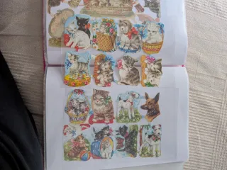 Album 53 Láminas cromos troquelados