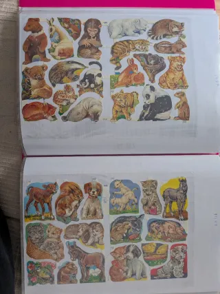 Album 53 Láminas cromos troquelados