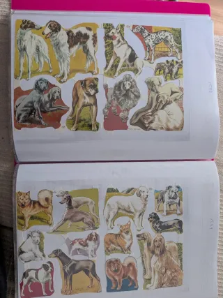 Album 53 Láminas cromos troquelados