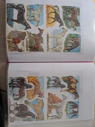 Album 53 Láminas cromos troquelados