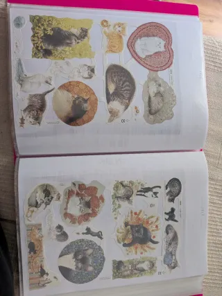 Album 53 Láminas cromos troquelados