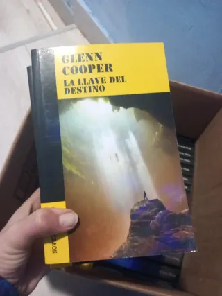 Colección libros novela negra