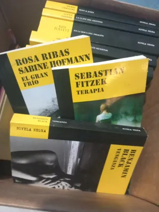 Colección libros novela negra