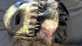 Máscara de silicona terrorífica