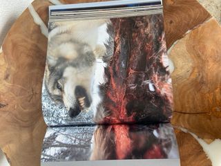 Libro National Geographic- El mundo en imágenes