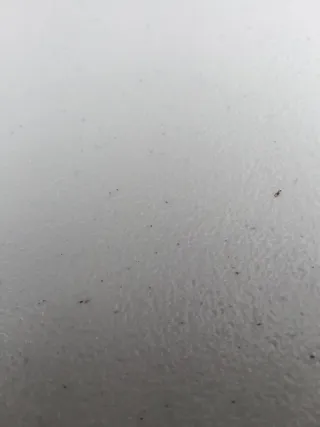 Mochila portabebés y flotador bebé