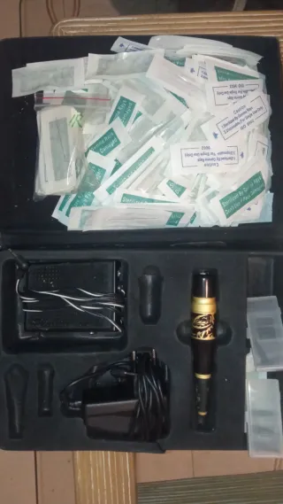 Estuche de pluma negra con león