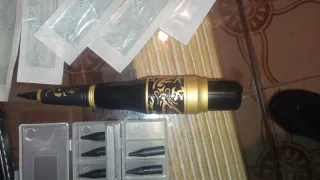 Estuche de pluma negra con león