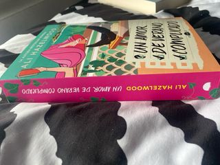 Un amor de verano complicado