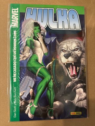 Lote comics Hulka
