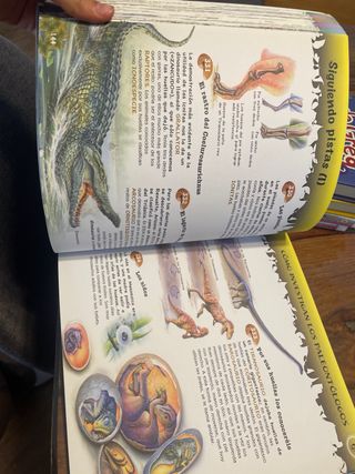 500 preguntas y respuestas sobre los dinosaurio...