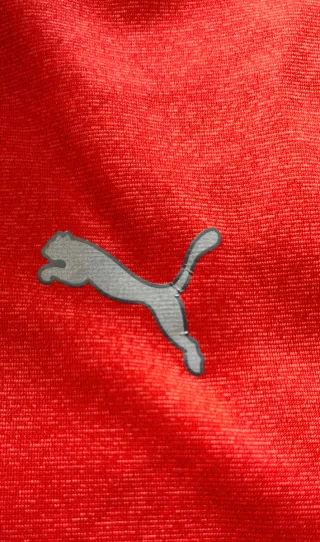 Sudadera Puma fina