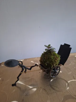 Kokedama con 2 suculentas