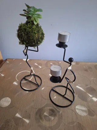 Kokedama con 2 suculentas