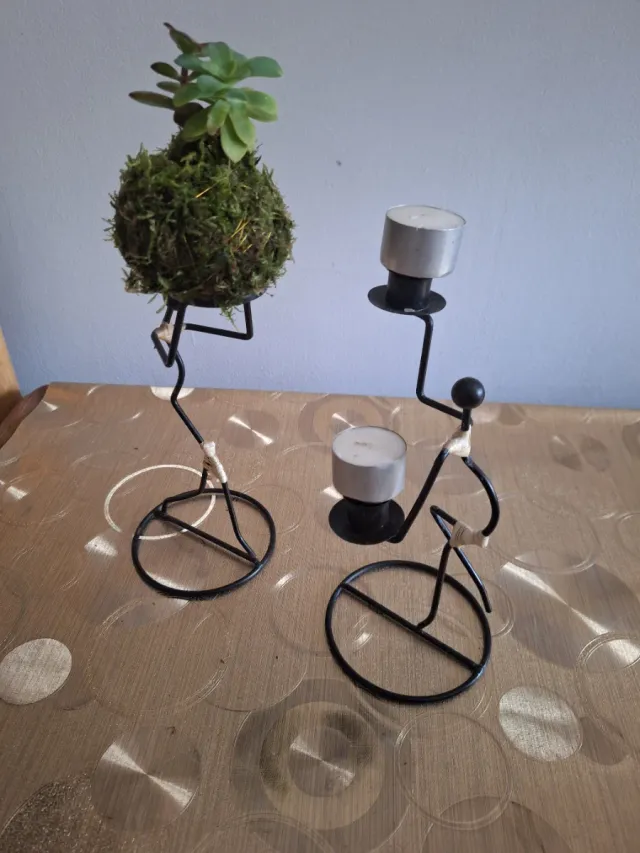 Kokedama con 2 suculentas