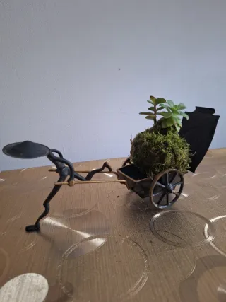 Kokedama con 2 suculentas