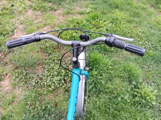 Bicicleta Paseo 26 pulgadas