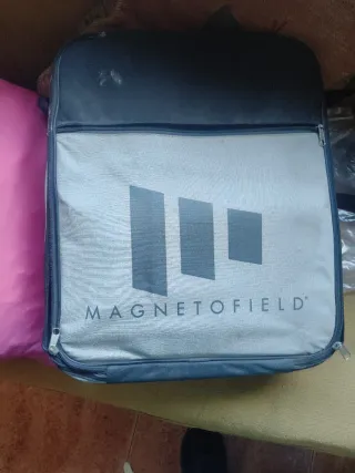 Electromagneto terapia