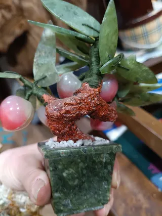 Árbol Bonsái de Piedra