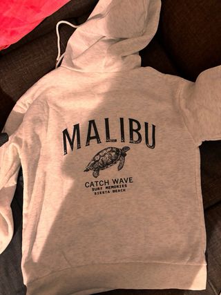 Sudadera gris con estampado de tortuga