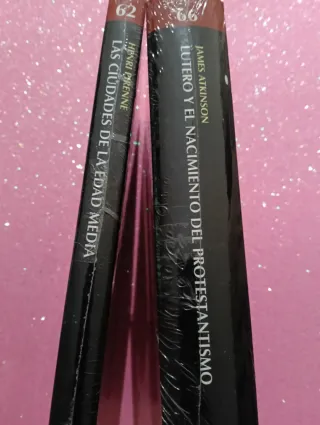 Las Ciudades de la Edad Media