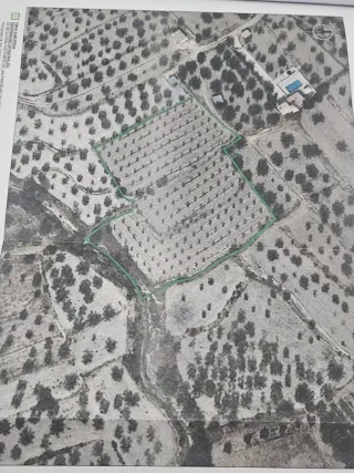 Terreno ecológico 6504 metros cuadrados en Vélez-B