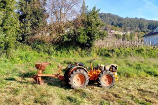 Tractor Pascuali en venta