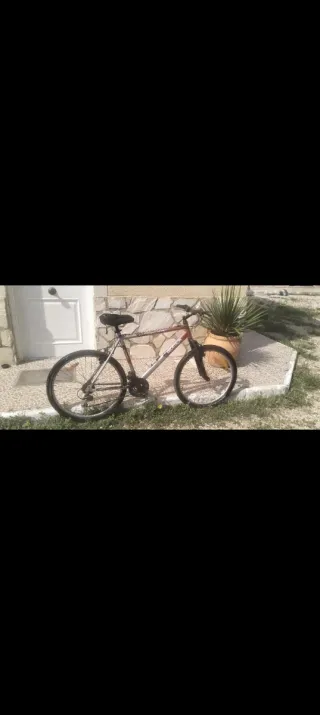 Bicicleta de adulto
