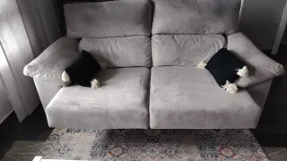 Sofá de 2 plazas gris