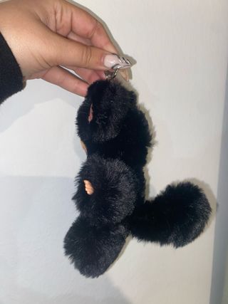 Bratziez
