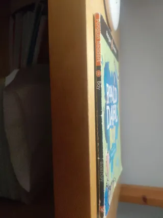 Roald Dahl boy,penguin readers.