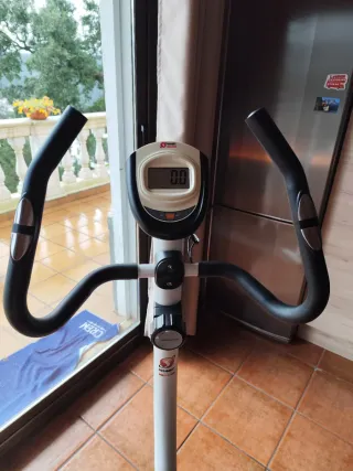 Bicicleta Estatica Schmidt