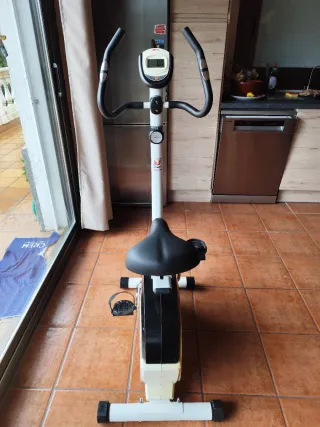 Bicicleta Estatica Schmidt