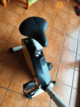 Bicicleta Estatica Schmidt