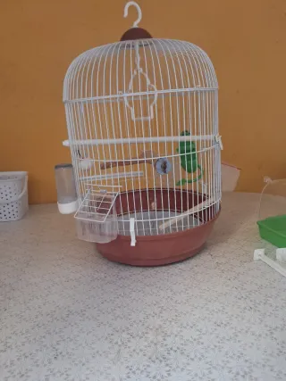 Jaula para periquitos marrón y blanca