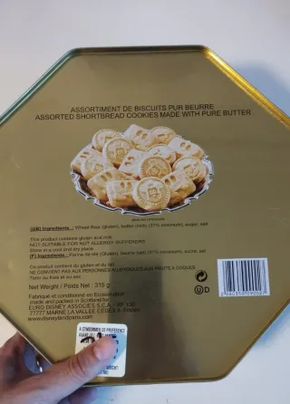 Caja Disneyland Paris Mickey Minnie