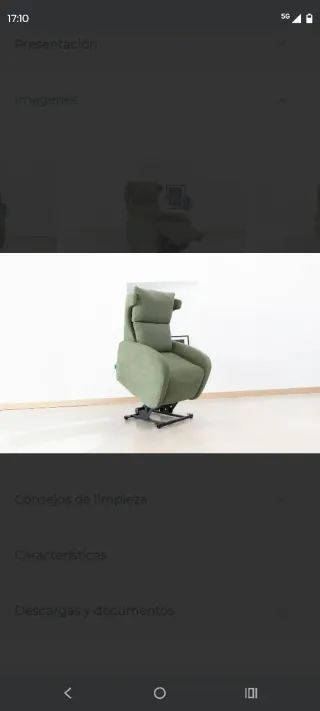 Butaca Kim Power Lift de Fama Sofás:  Sillón