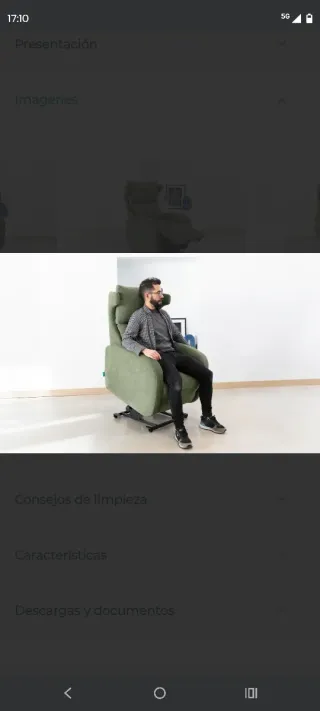 Butaca Kim Power Lift de Fama Sofás:  Sillón