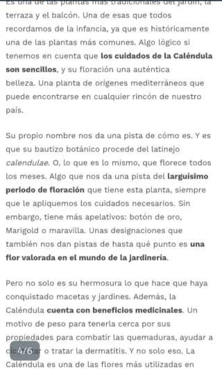 Semillas de caléndula